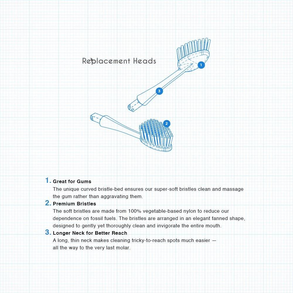 image:imageRADIUS Toothbrush Replacement Brush Heads 2Count Improve Gum Health amp Reduce Gum Issues Super Soft Pack of 62 Count Pack of 2