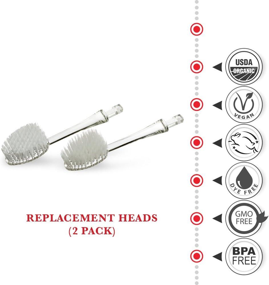 image:imageRADIUS Toothbrush Replacement Brush Heads 2Count Improve Gum Health amp Reduce Gum Issues Super Soft Pack of 62 Count Pack of 2