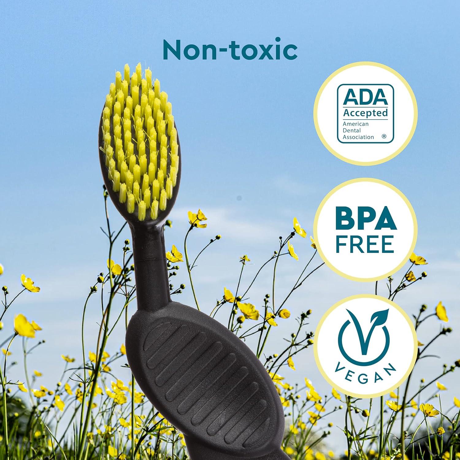 image:imageRadius Toothbrush Flex Brush BPA Free amp ADA Accepted Designed to Improve Gum Health amp Reduce Gum Issues Right Hand Lime White Pack of 1Assorted