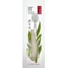 RADIUS Toothbrush Source Floss Brush BPA Free & ADA Accepted Improve Gum Health & Reduce Gum Issues – Super Soft – Money – Pack of 1(Assorted)