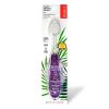 RADIUS Tour Travel Brush & Case with Replaceable Brush Head ADA Accepted Toothbrush Improve Gum Health – Blue Smoke Green – Pack of 3(Purple)