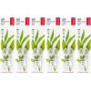 RADIUS Toothbrush Replacement Brush Heads 2-Count Improve Gum Health & Reduce Gum Issues – Super Soft – Pack of 6(1 Count (Pack of 6))