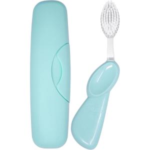 RADIUS Toothbrush Big Brush with Replaceable Brush Head BPA Free ADA Accepted – Left Hand – Purple Brush with Purple Case(Pastel Mint)