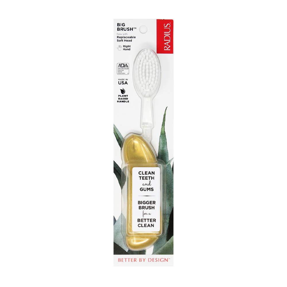 image:imageRADIUS Big Brush with Replaceable Head BPA Free amp ADA Accepted Toothbrush Designed to Improve Gum Health amp Reduce Gum Issues Right Hand Assorted Pack of 6Gold