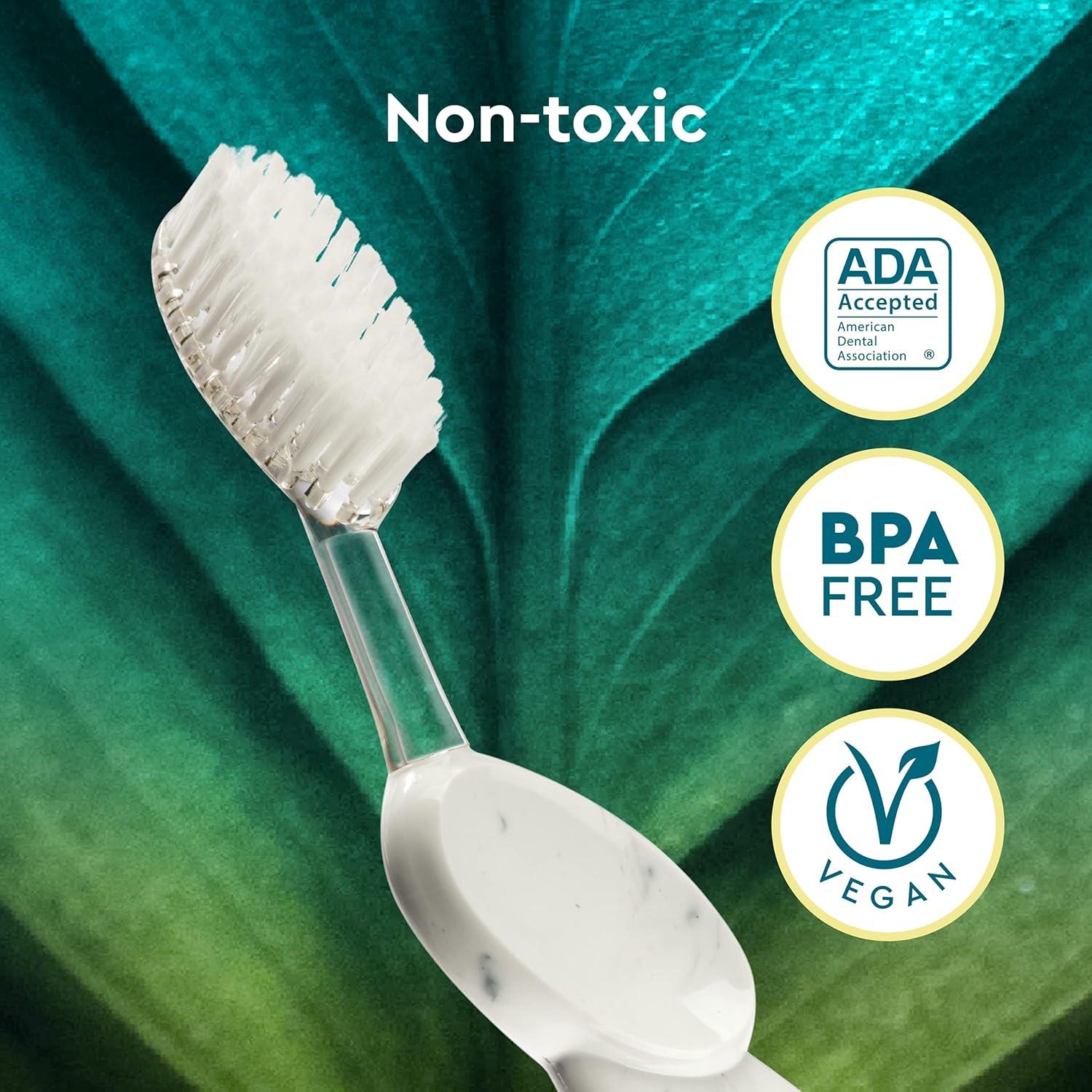 image:imageRADIUS Big Brush with Replaceable Head BPA Free amp ADA Accepted Toothbrush Designed to Improve Gum Health amp Reduce Gum Issues Right Hand Assorted Pack of 6Purple