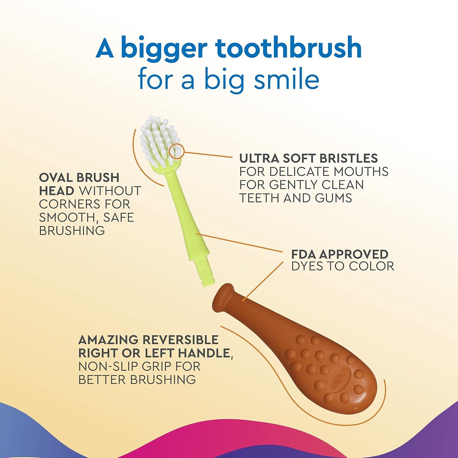 image:imageRadius Big Kidz Forever Brush with Replaceable Head Toothbrush for Children 6 Years and Up BPA Free ADA Accepted for Growing Teeth and Gums Right and Left Handed Extra SoftBlue Coral