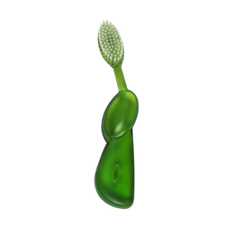image:imageRADIUS Big Brush with Replaceable Head BPA Free amp ADA Accepted Toothbrush Designed to Improve Gum Health amp Reduce Gum Issues Right Hand Assorted Pack of 6LimeNatural