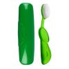 RADIUS Big Brush with Replaceable Head BPA Free & ADA Accepted Toothbrush Designed to Improve Gum Health & Reduce Gum Issues – Right Hand – Assorted – Pack of 6(Lime/Natural)