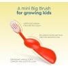 RADIUS Kidz Toothbrush Children’s Right Hand BPA Free ADA Accepted Designed to Clean Teeth & Gums for Children 6 Years & Up – Pink Purple Green – Pack of 3(Green/ Blue/ Orange)