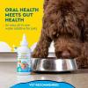 RADIUS OralPro+ Pet Probiotic Dental Water Additive (Enzymatic)(Clear)