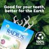 RADIUS Peppermint EcoClean Compostable Floss Picks Adult for Oral Care Boost Non Toxic Tooth & Gum Protection(1 Count (Pack of 1))