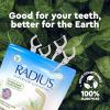 RADIUS Peppermint EcoClean Compostable Floss Picks Adult for Oral Care Boost Non Toxic Tooth & Gum Protection(Pack of 4)
