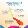Radius Big Kidz Forever Brush with Replaceable Head Toothbrush for Children, 6 Years and Up, BPA Free ADA Accepted for Growing Teeth and Gums – Right and Left Handed, Extra Soft(Chartreuse / Blue)
