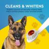 Radius USDA Organic Dental Solutions All Ages Dog Dental Kit 1 Unit, 1 Dog Toothbrush, 1 0.8oz Toothpaste, & 1 Travel Case, Firm Bristle & Non Toxic Toothpaste for Dogs