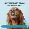 RADIUS OralPro+ Pet Prebiotic Enzymatic Dental Chew Sticks, 28 CT