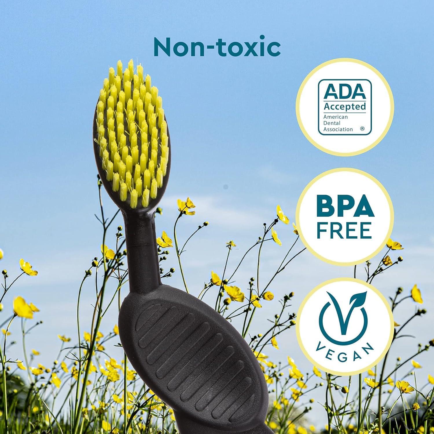 image:imageRADIUS Flex Brush with Soft Bristles Toothbrush BPA Free amp ADA Accepted Designed to Improve Gum Health amp Reduce Issues Right Hand PurpleWhite Pack of 1BlackWhite