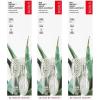 RADIUS Toothbrush Replaceable Brush Heads 2-Count Improve Gum Health & Reduce Gum Issues – Soft Big Head – Pack of 3